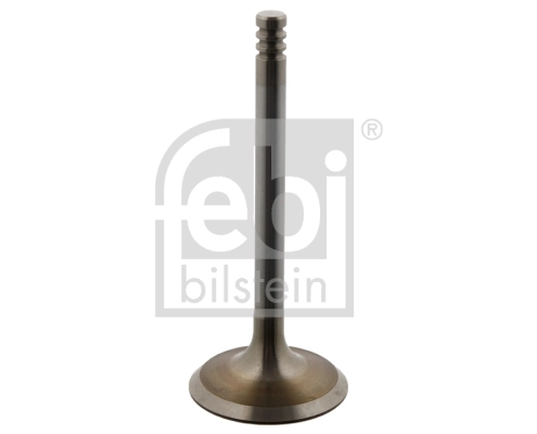 Intake Valve